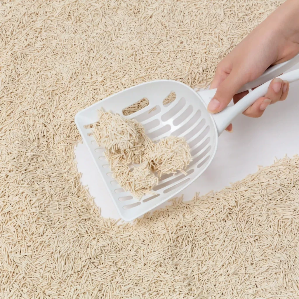 Best Economical Unscented Tofu Cat Litter Wholesaler AAST