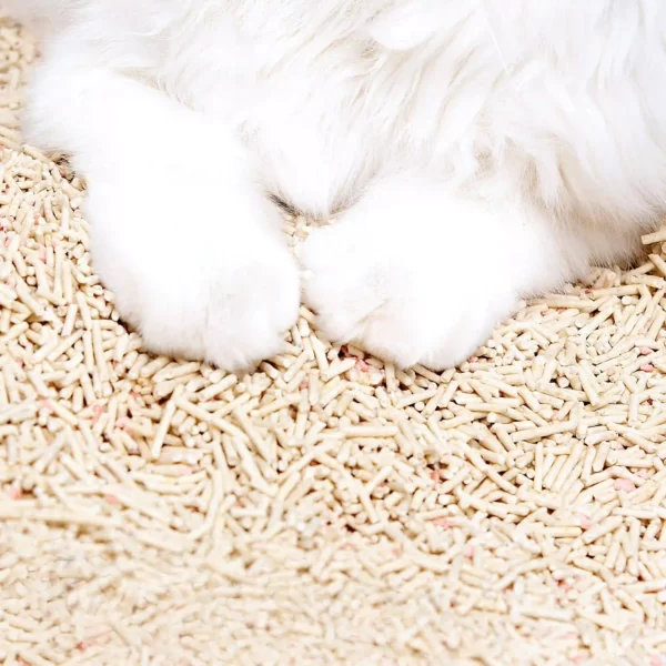 refined unscented cat litter 4 3840x3840 1 scaled